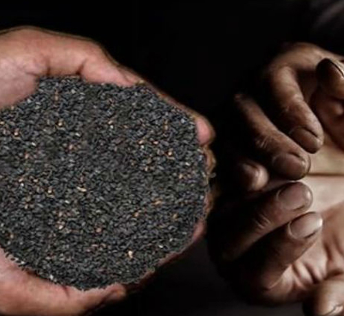 Kalyana Mandapam in Trichy